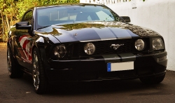 Mustang
